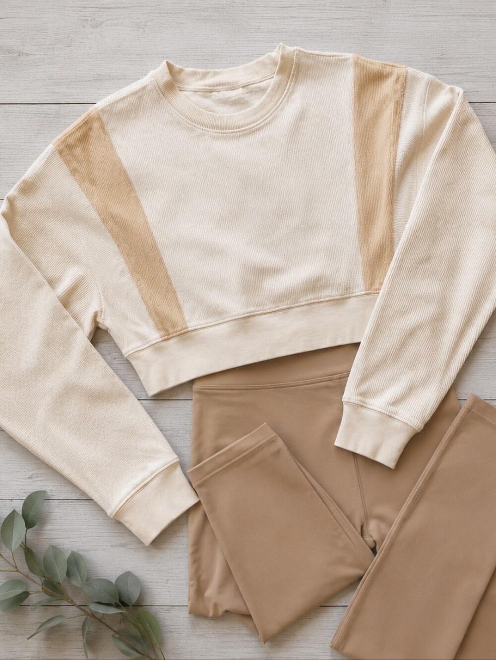Thread & Supply Cream and Tan Two-toned Ribbed Top Small